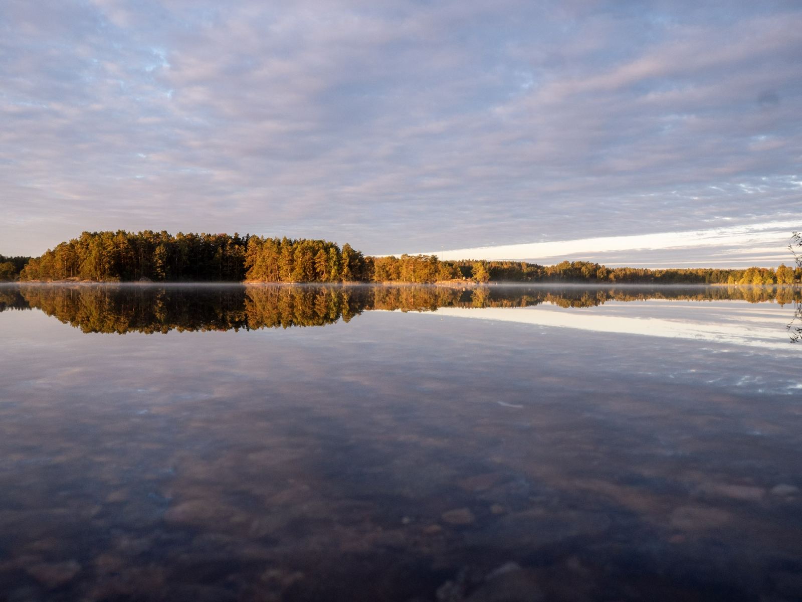 Spegelblank sjö i morgonljus, med skogen som speglas i vattnet.