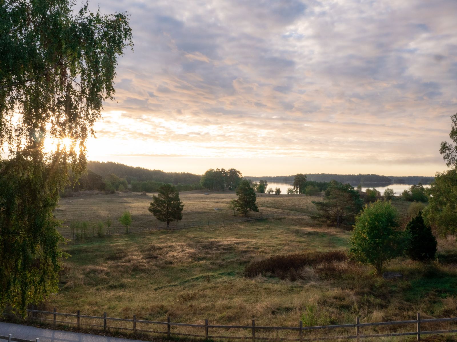 Morgonsol genom björkarna över en äng som sluttar ned mot sjön.