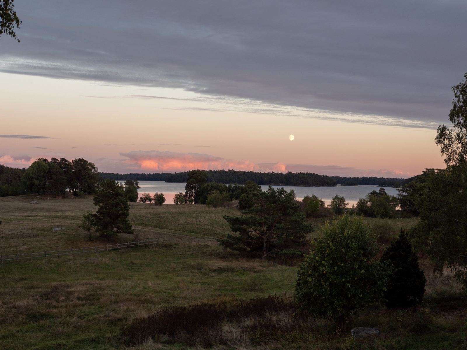 Kvällshimmel med rosa moln och månen över ängen och sjön.